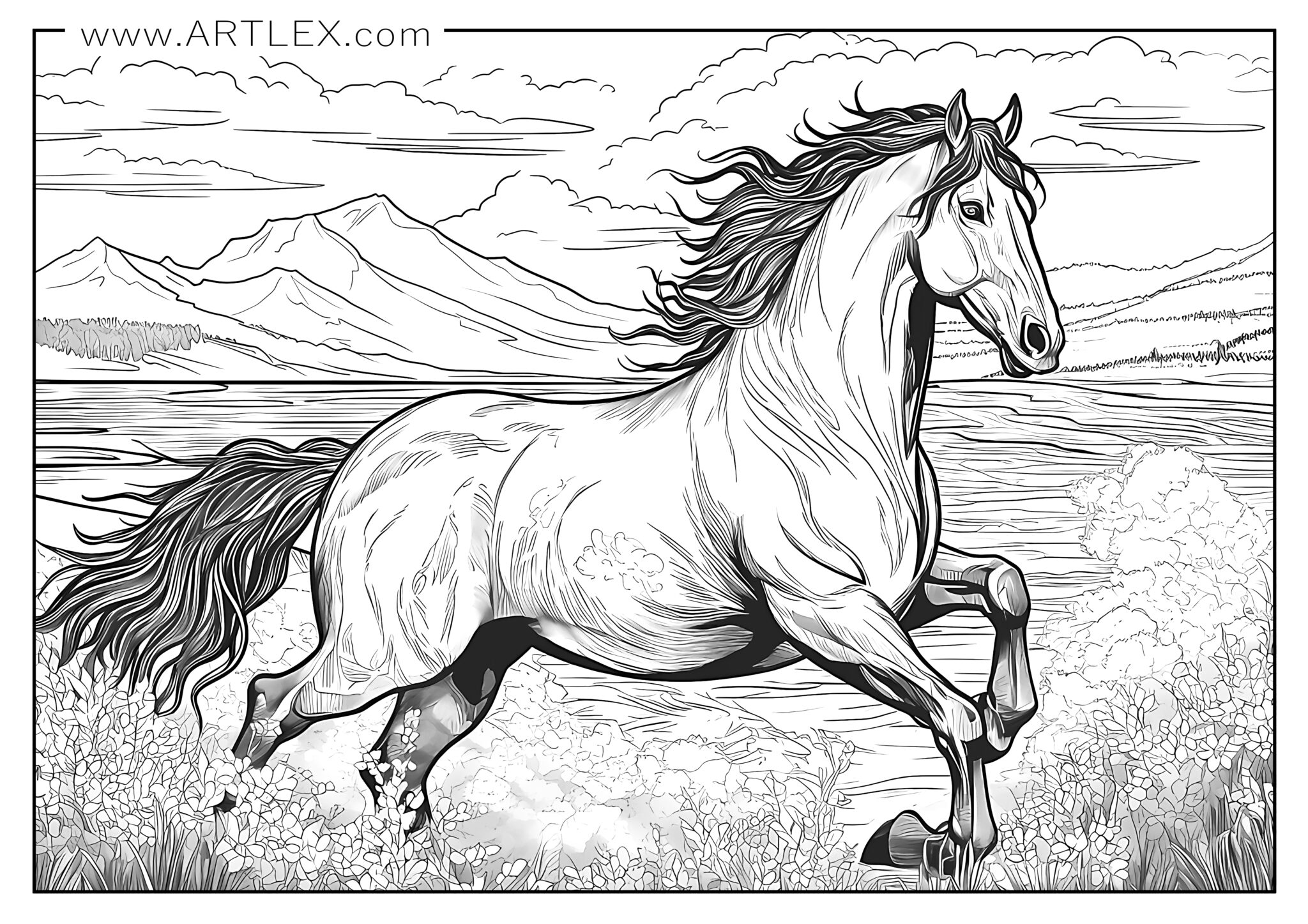 free coloring pages horses