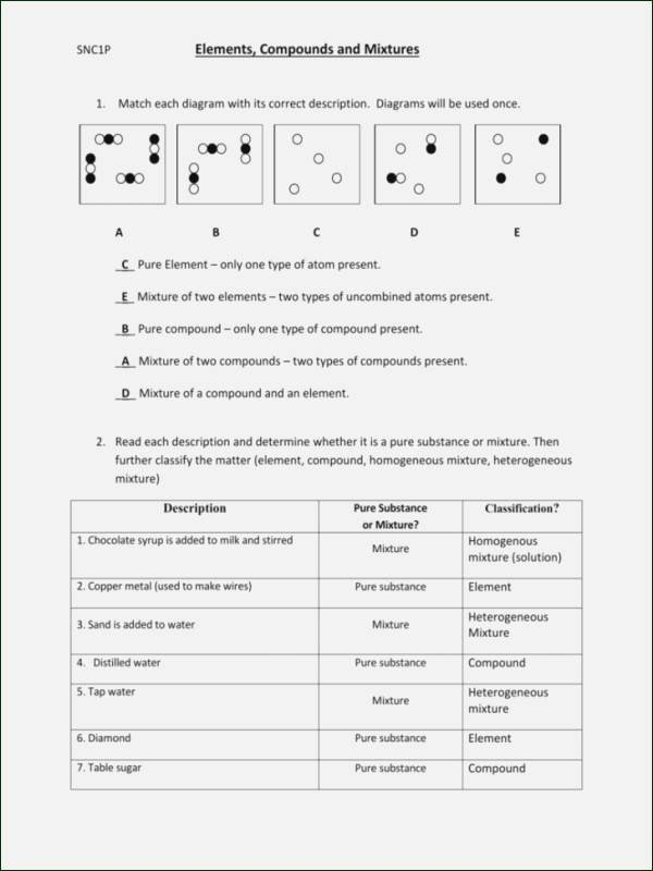 50 Nova Hunting The Elements Worksheet Chessmuseum Template Library