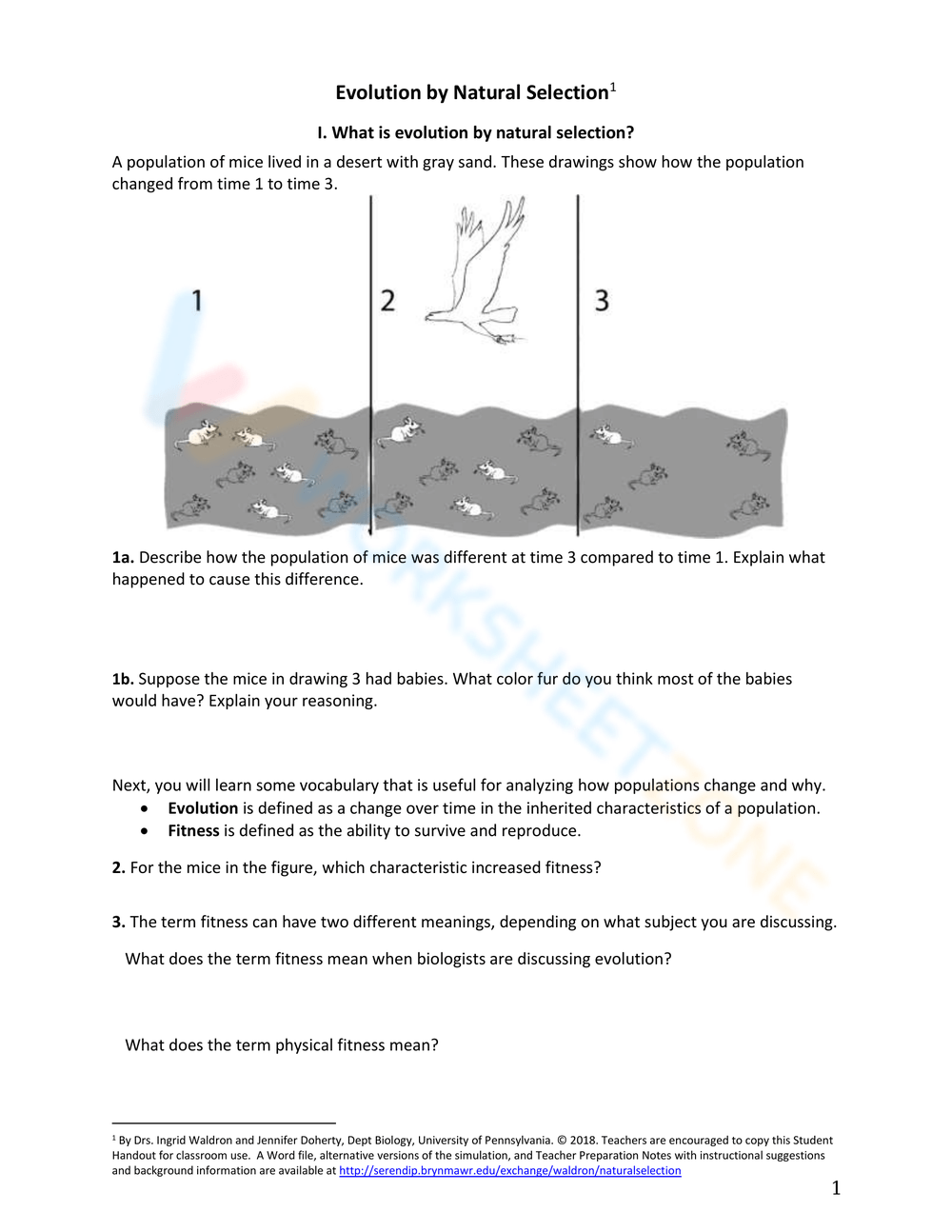 patterns of natural selection worksheet