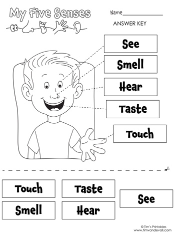 Download Free Printable 5 Senses Worksheets 10 For Kids Worksheets 