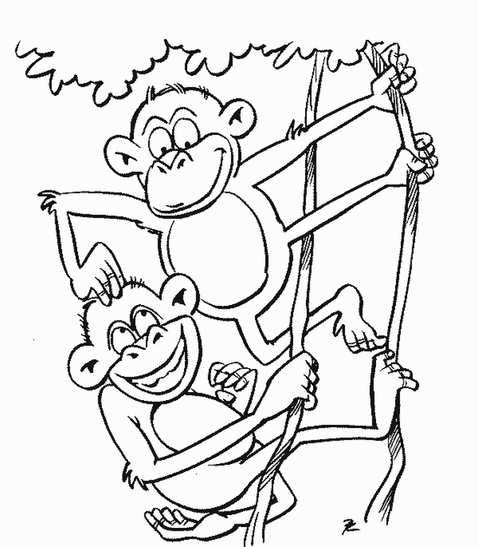Monkey Coloring Book Page