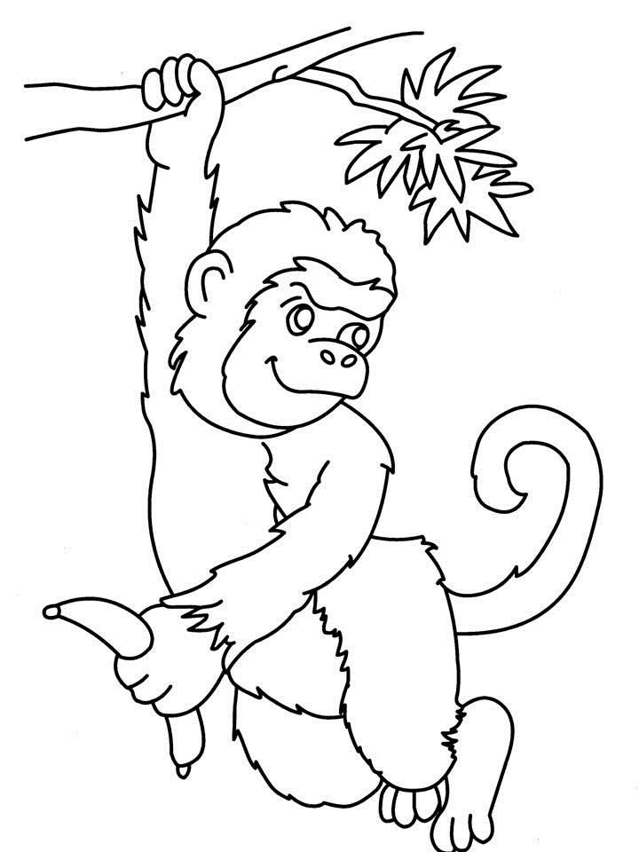 Free Monkey Coloring Book Page Download Free Monkey Coloring Book Page 