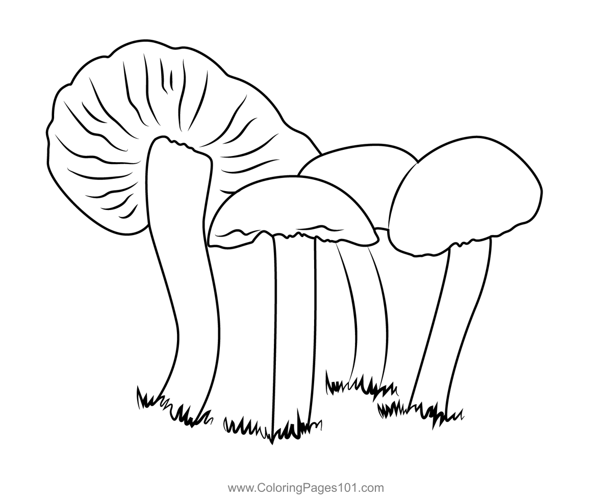Fungus Coloring Page For Kids Free Mushrooms Printable Coloring Pages 