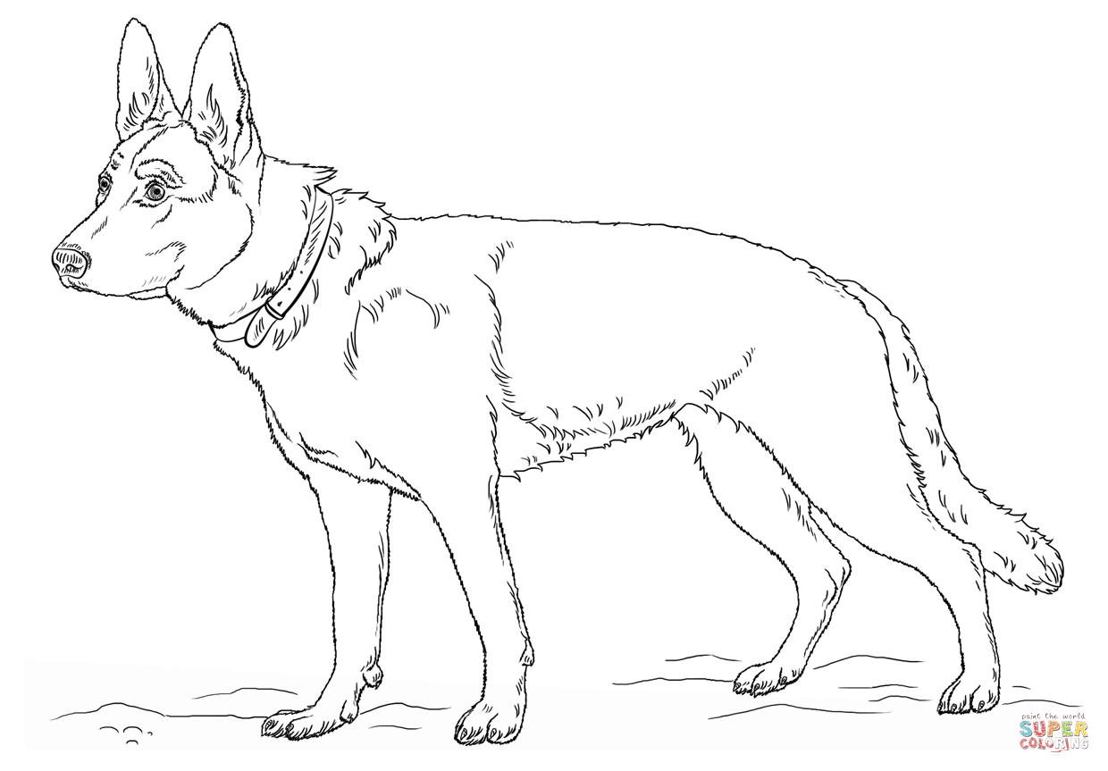 German Shepherd Dog Coloring Pages Coloring Home