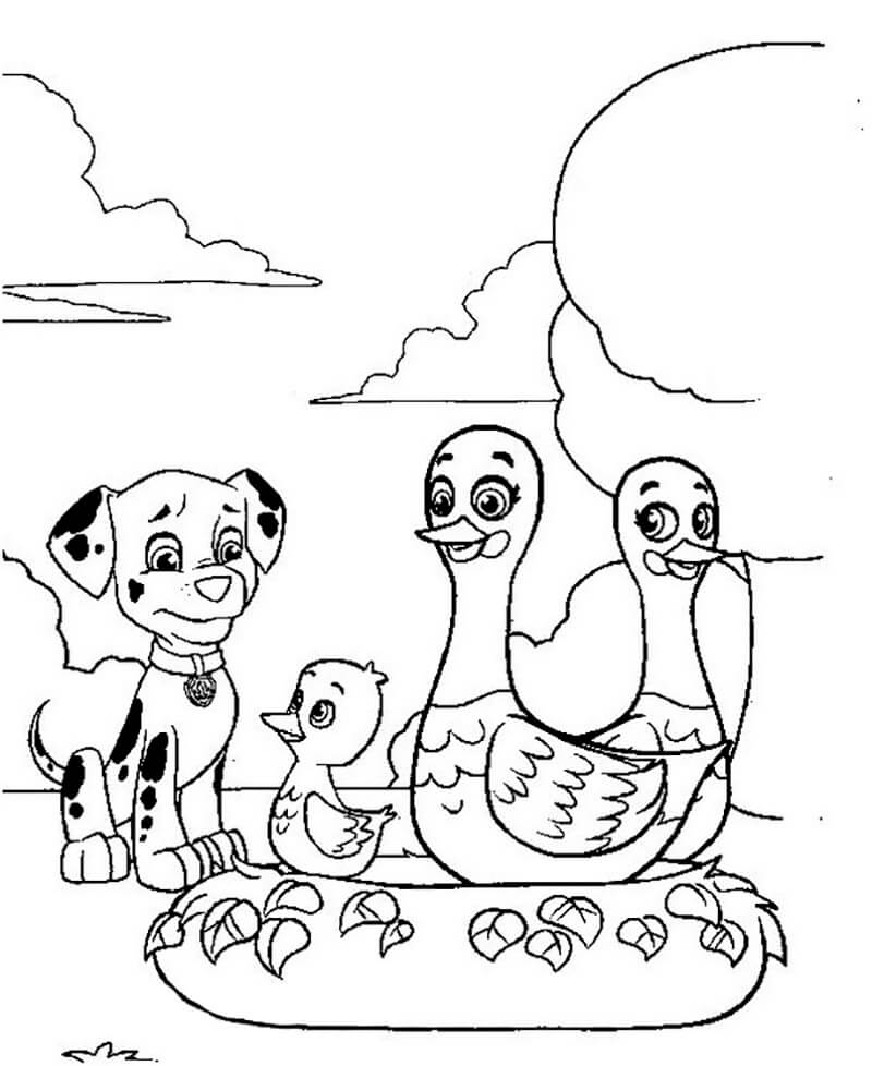 Marshall Paw Patrol 2 Coloring Page Free Printable Coloring Pages For 