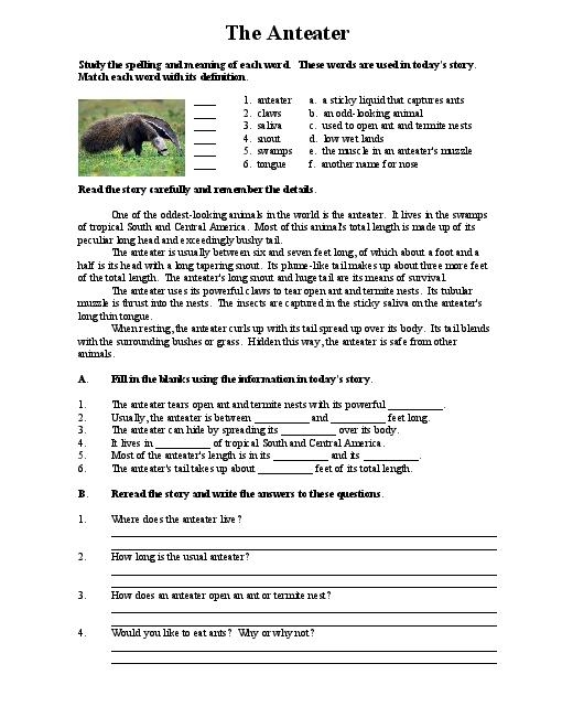 Middle School Reading Comprehension Worksheets Free Worksheets Samples