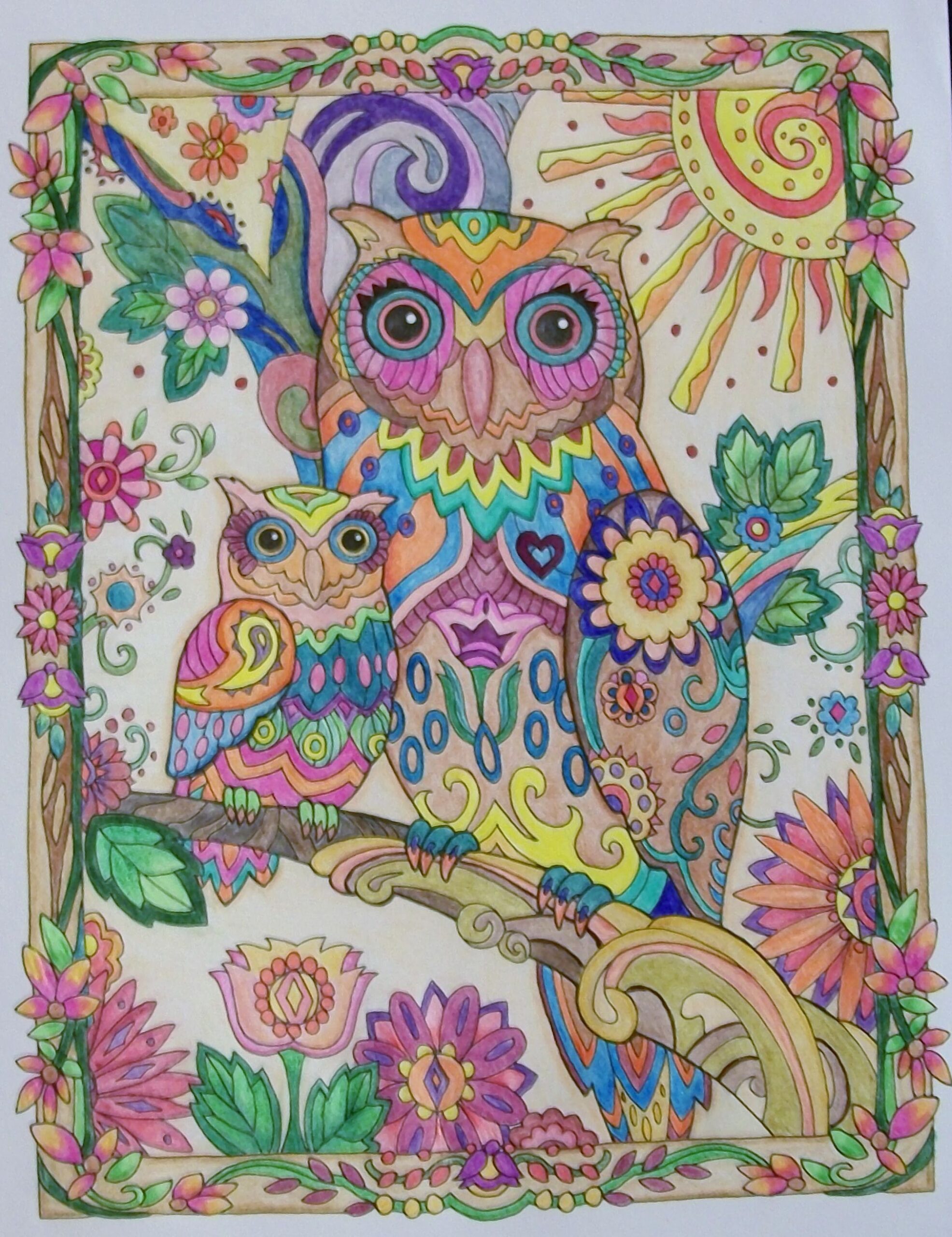Owl Coloring Pages Colored