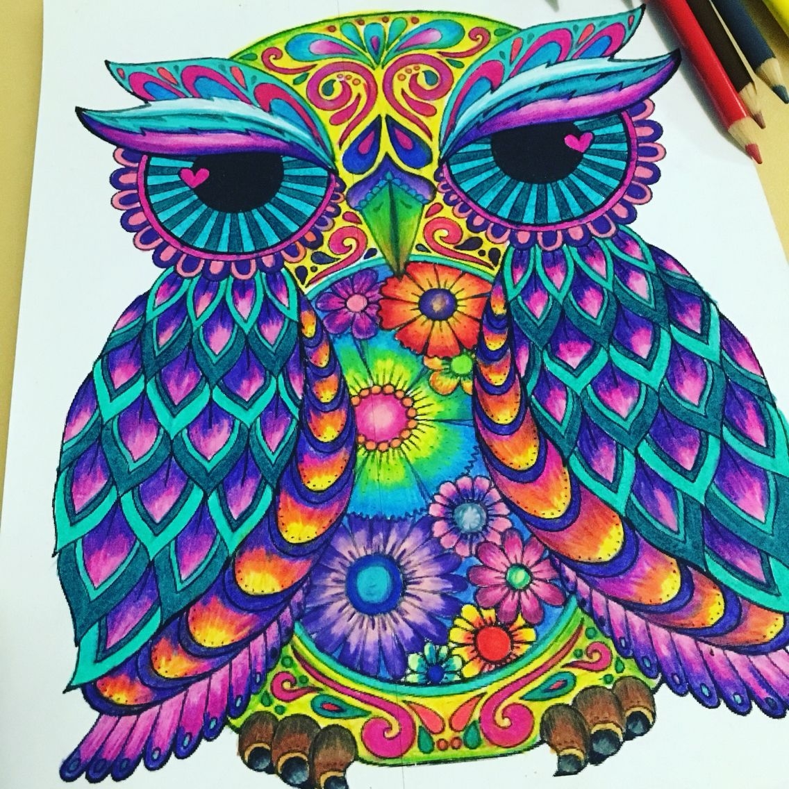 Owl Coloring Pages Colored