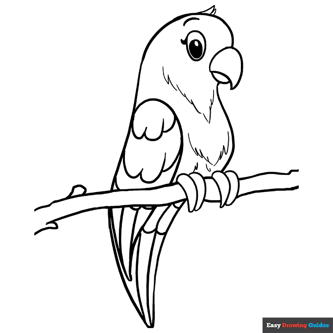 Parrot Coloring Page Easy Drawing Guides