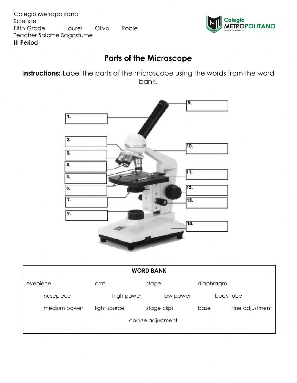 parts of the microscope worksheet