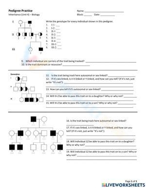 Pedigree Practice Worksheet Worksheets Library