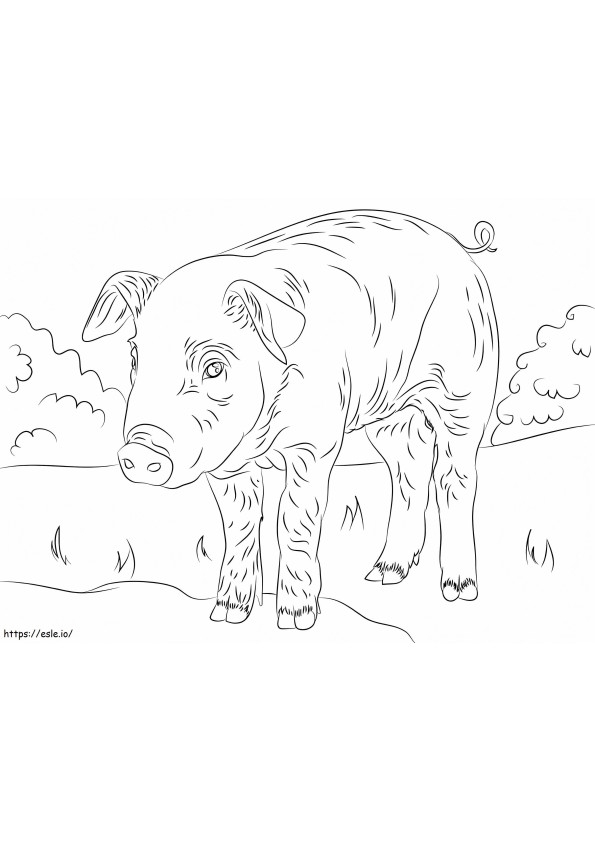 Piglets Coloring Pages Free Printable Coloring Pages For Kids And Adults