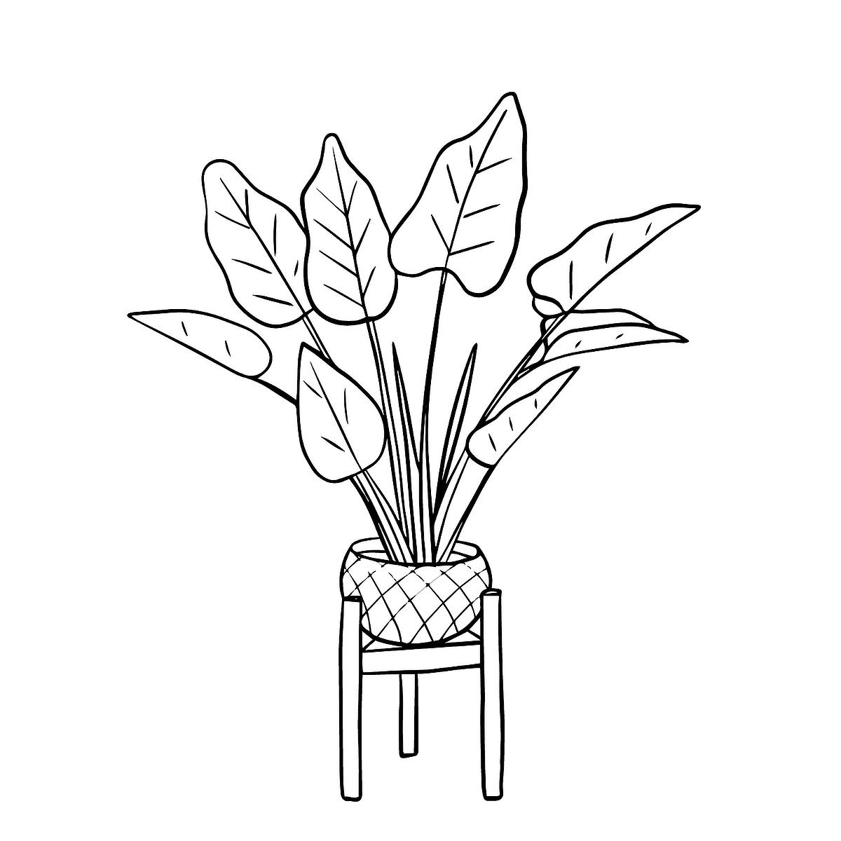 Plant Color Page Plant Coloring Pages For Kindergarten