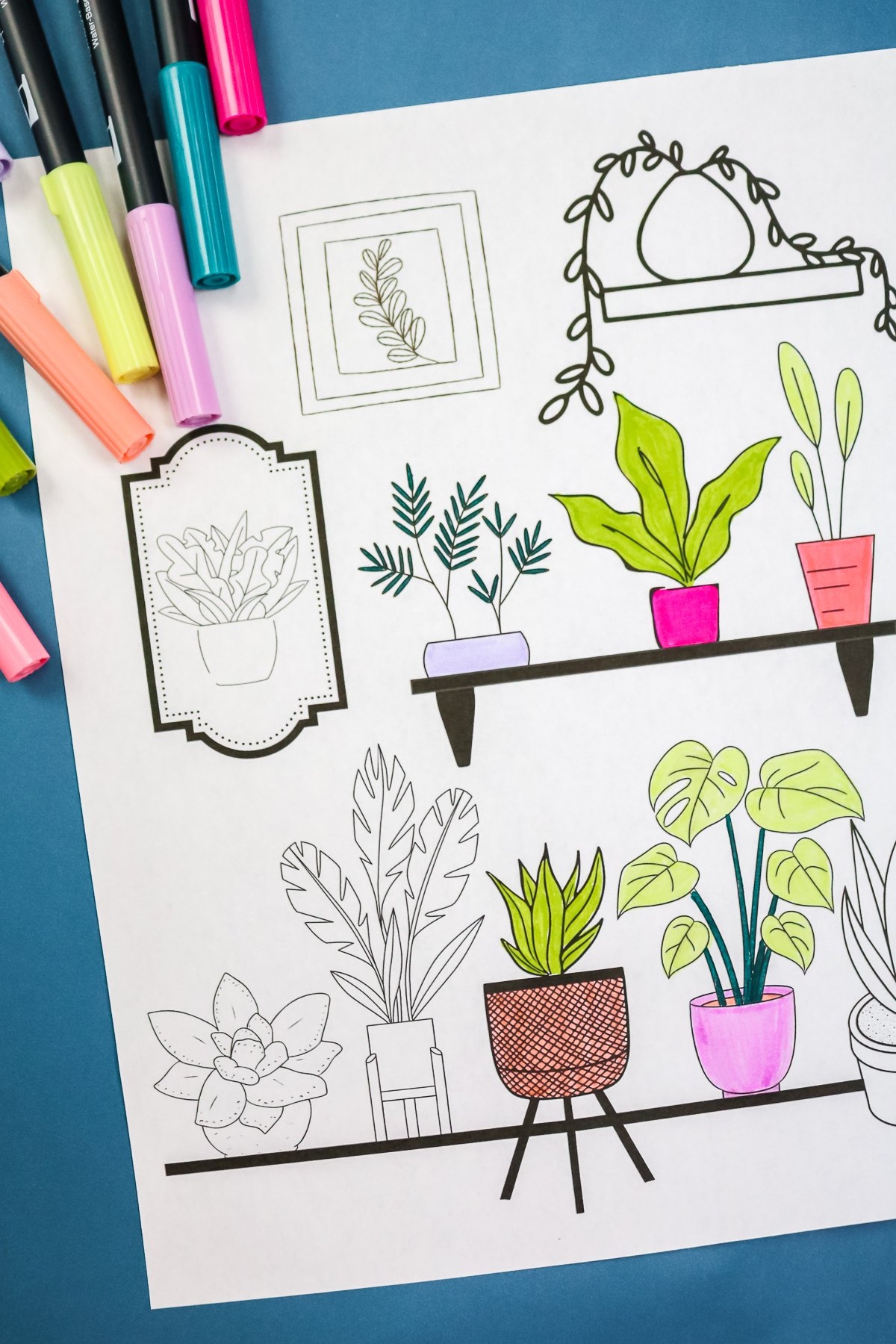 Plant Coloring Page Perfect For Adults Plus More Coloring Fun Angie 