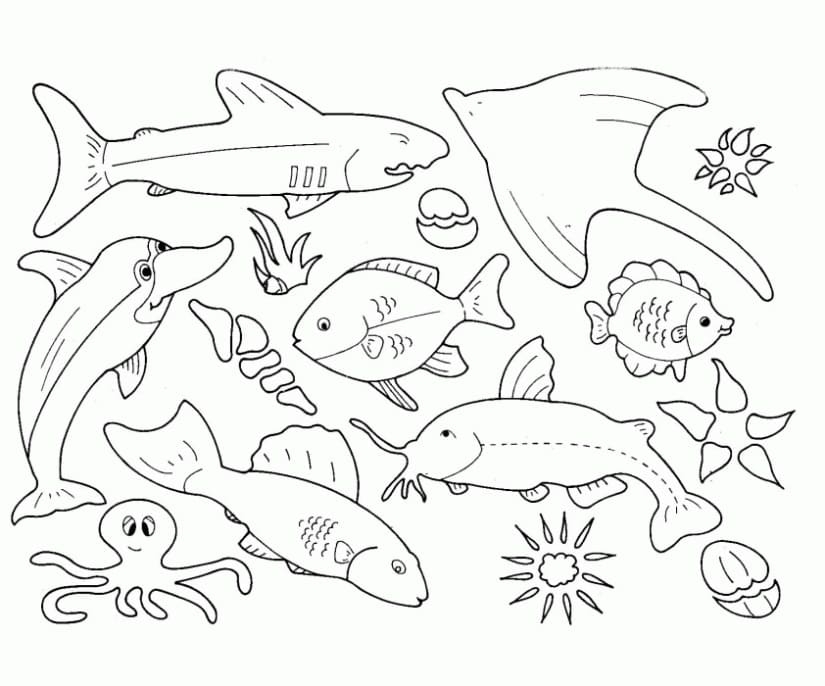 Ocean Coloring Page