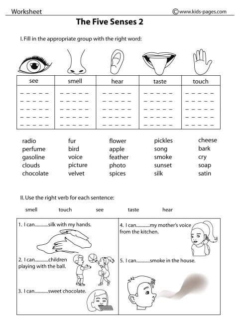 five senses worksheets