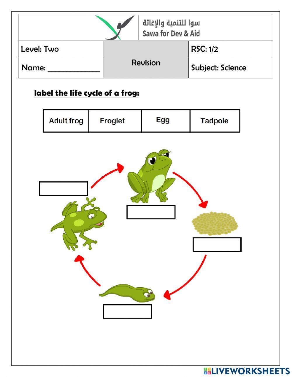 The Life Cycle Of A Frog Interactive Worksheet Live Worksheets 