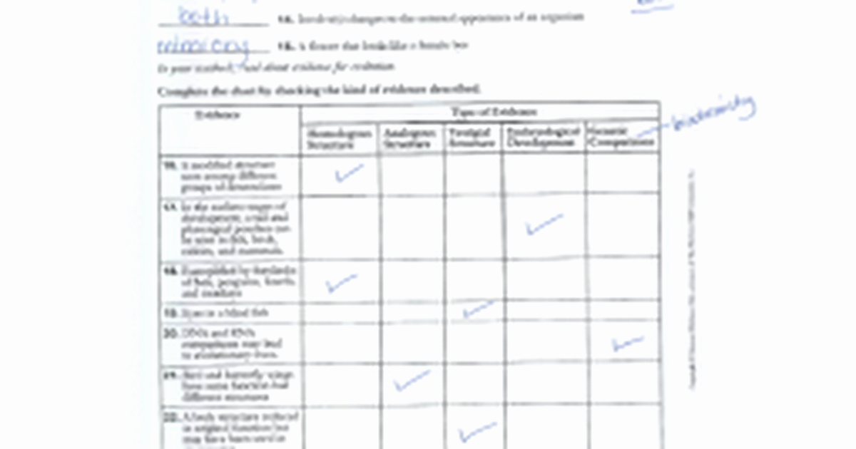 Types Of Natural Selection Worksheet Fresh Natural Selection And 