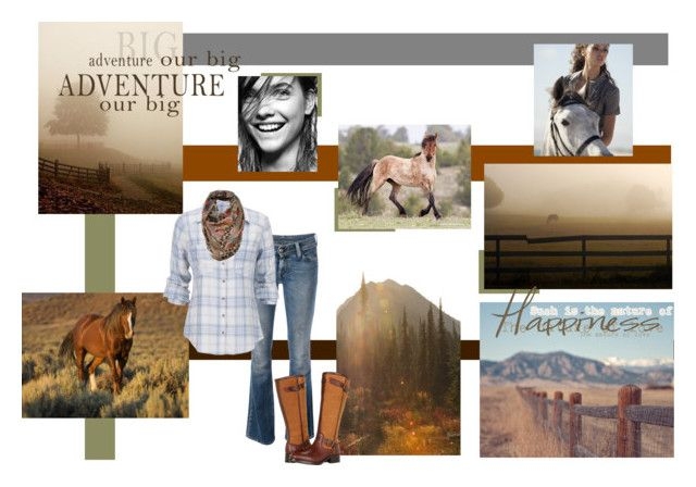 White Pages Colorado Noredaustralian