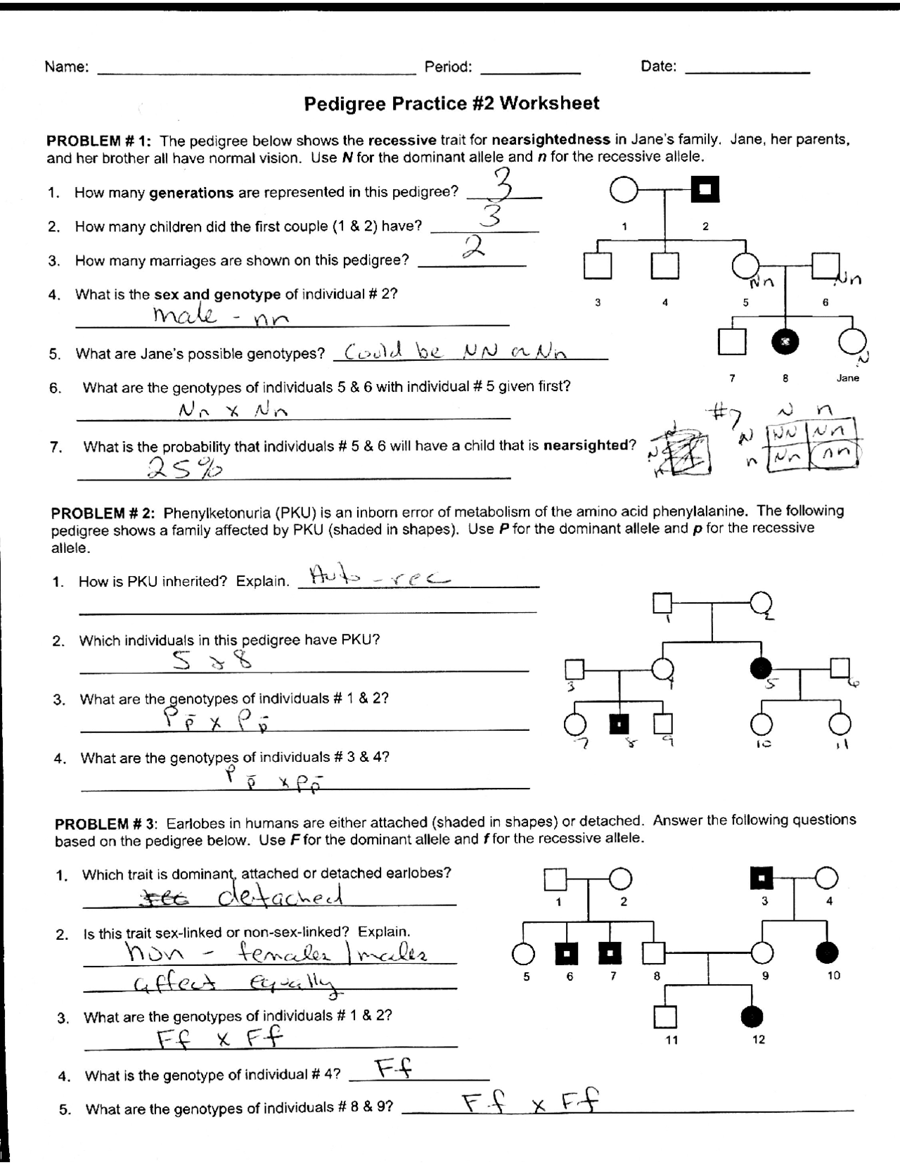 pedigree practice worksheet
