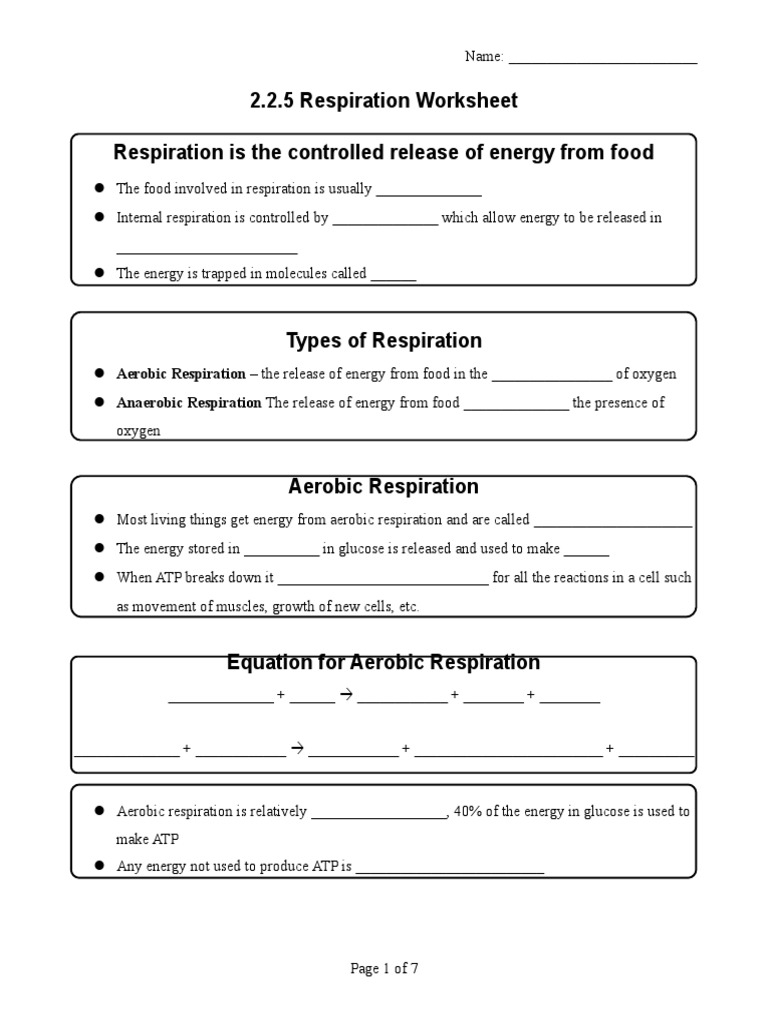 worksheet for cellular respiration