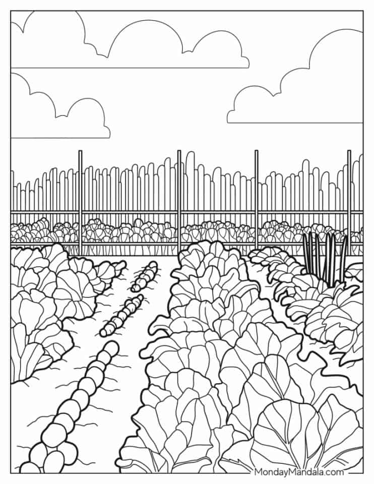 Garden Color Pages