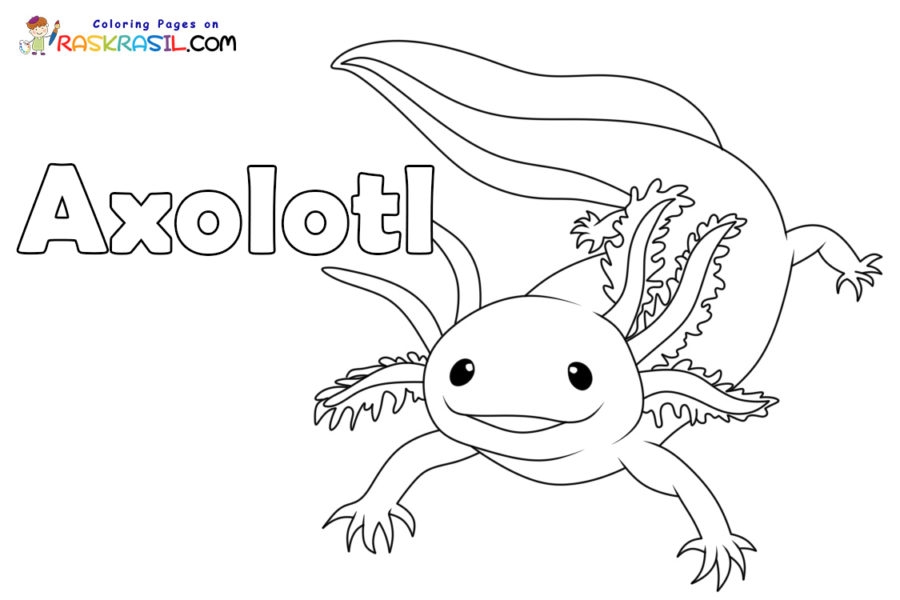 29 Axolotl Coloring Pages Free PDF Printables 54 OFF