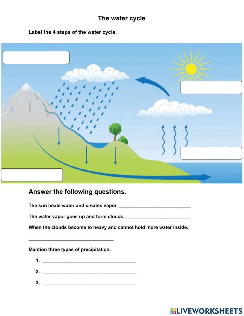 4 Steps Water Cycle Worksheet Live Worksheets Worksheets Library
