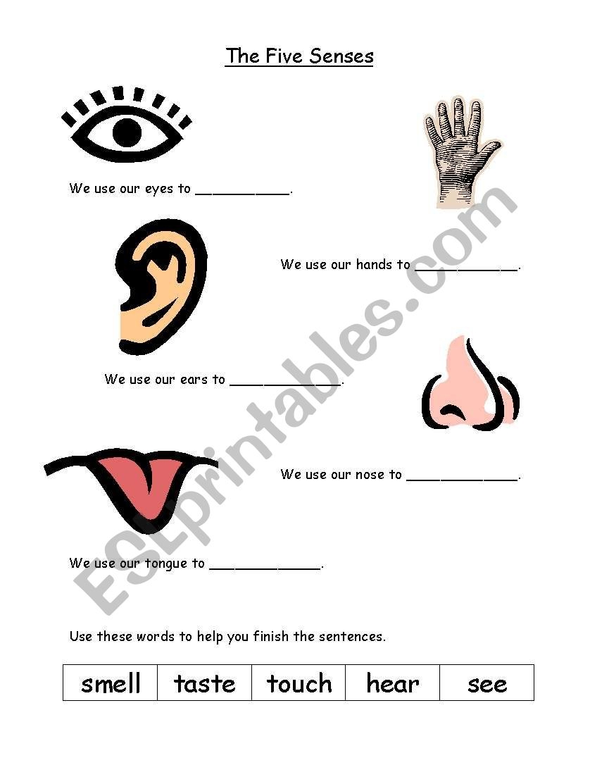 5 Sense Organs ESL Worksheet By Shrutinaik