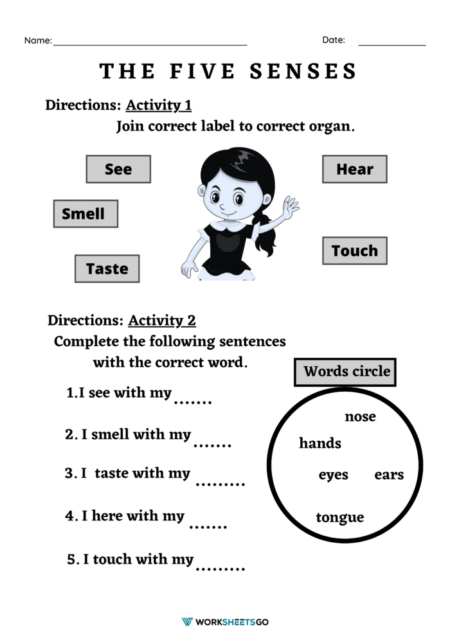 5 Senses Worksheets WorksheetsGO