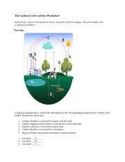 Acs Carbon Capture Worksheet The Carbon Cycle Explained Und