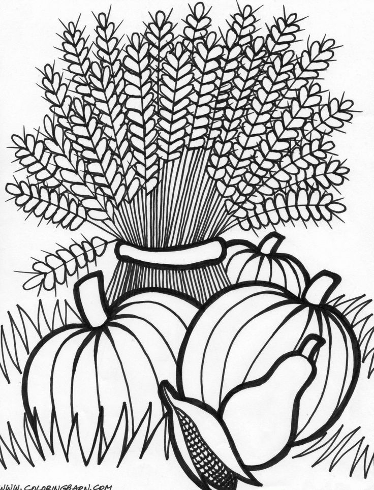 Adult Coloring Pages Fall Adult Coloring Pages Printable