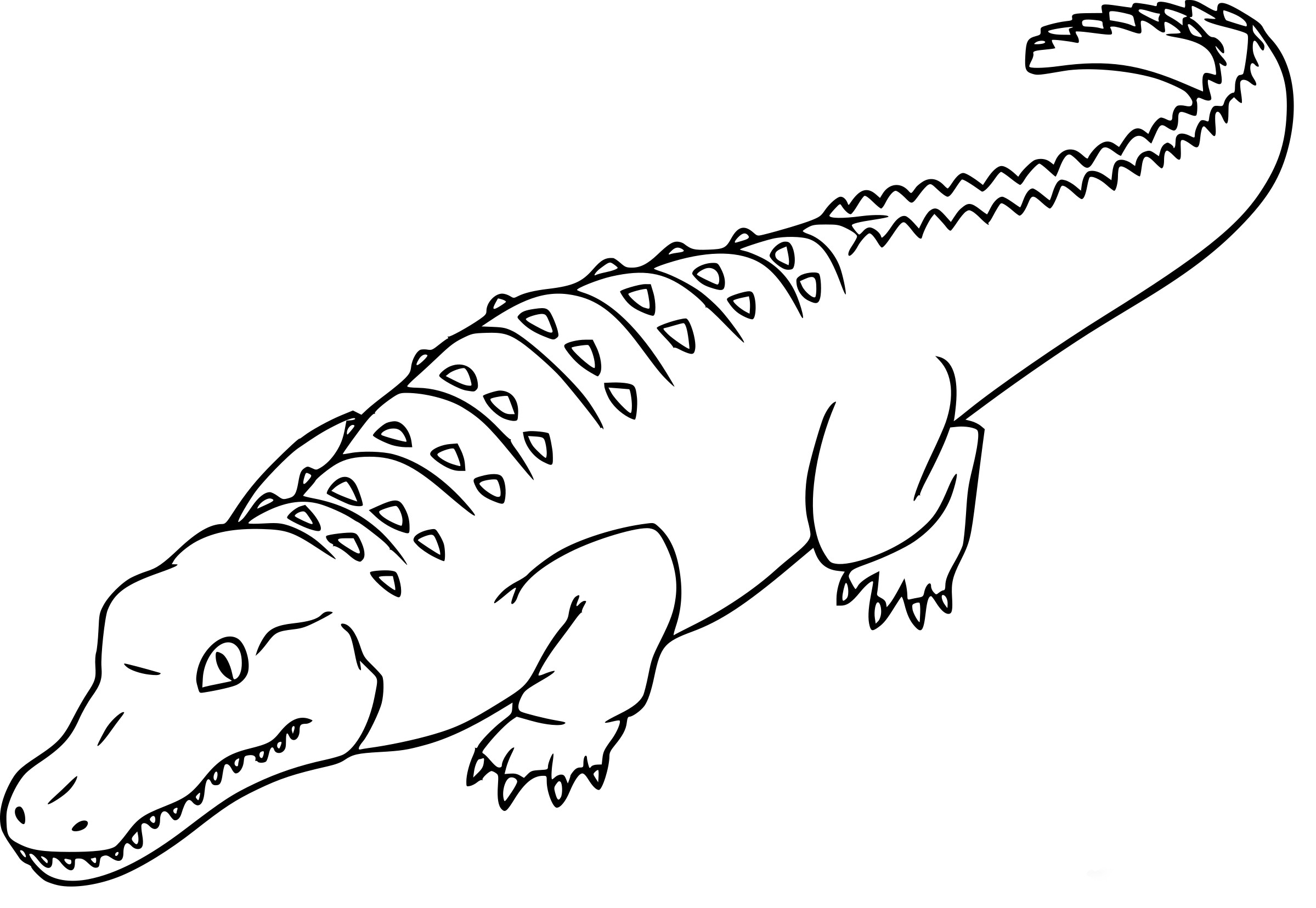 Alligator Coloring Page Free Printable Coloring Pages On Coloori