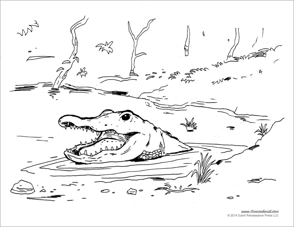 Alligator Coloring Pages ColoringBay