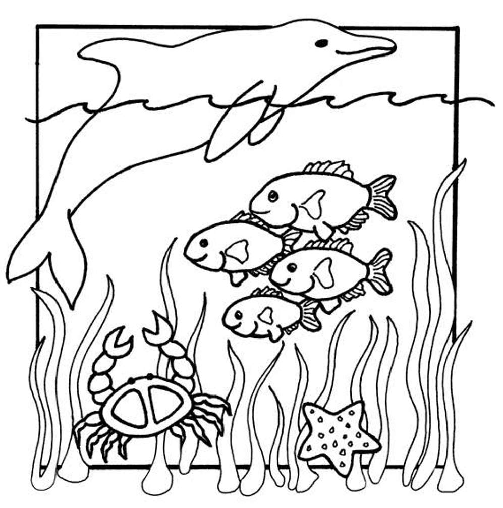 Coloring Pages Ocean Creatures