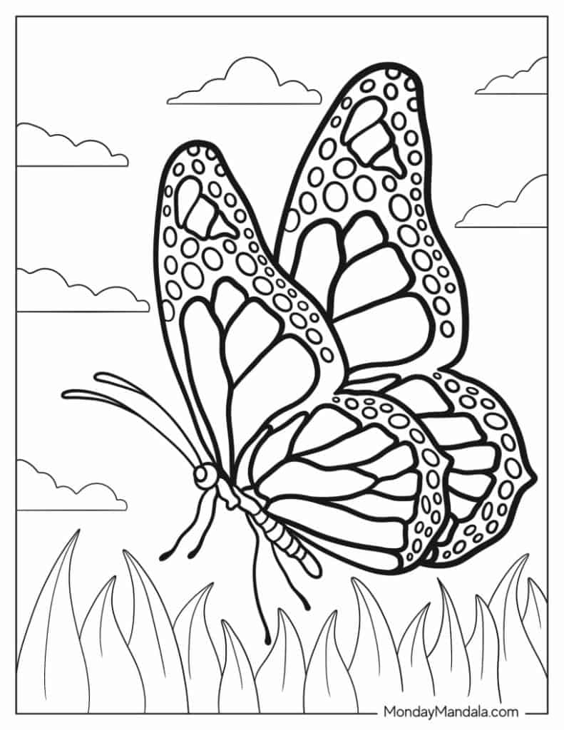 coloring pages free butterfly
