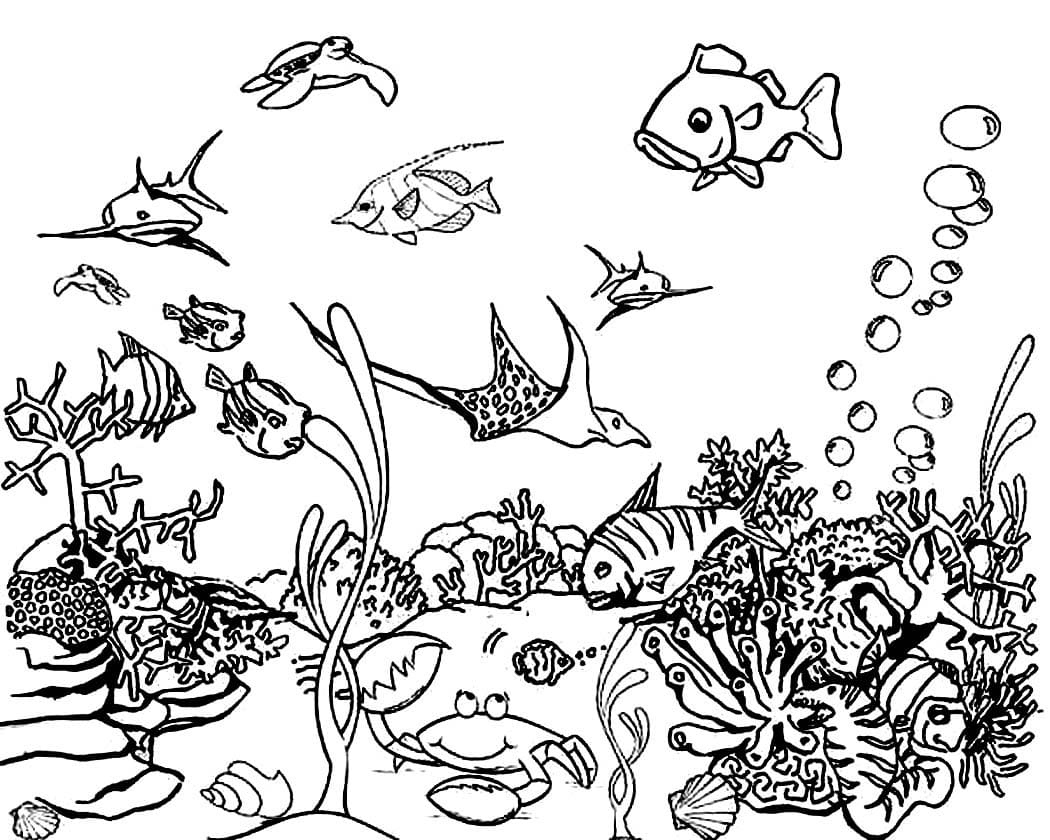 Awesome Ocean Life Coloring Page Free Printable Coloring Pages For Kids