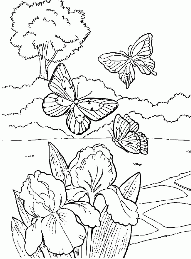 Beautiful Coloring Pages Coloring Home