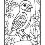 Bird Coloring Book Page A Fun And Educational Activity For Kids