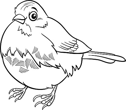 Bird Coloring Book Page PNG Transparent Images Free Download Vector 