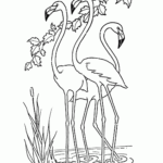 Birthday Flamingo Coloring Pages Coloring Home