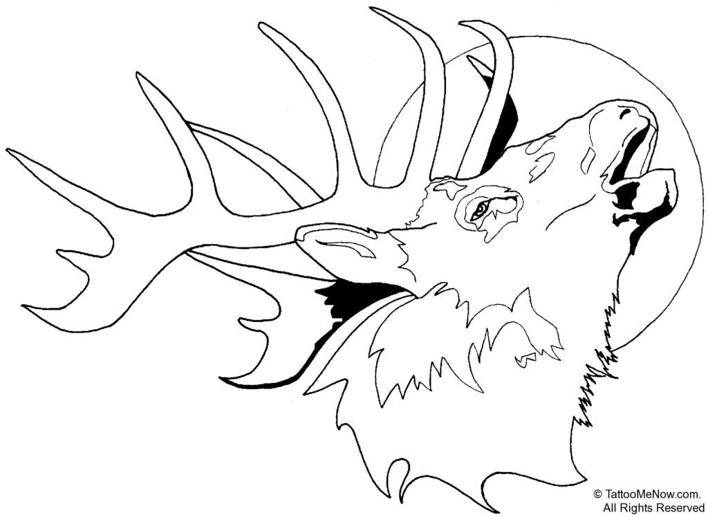 Buck And Doe Coloring Pages Coloring Home