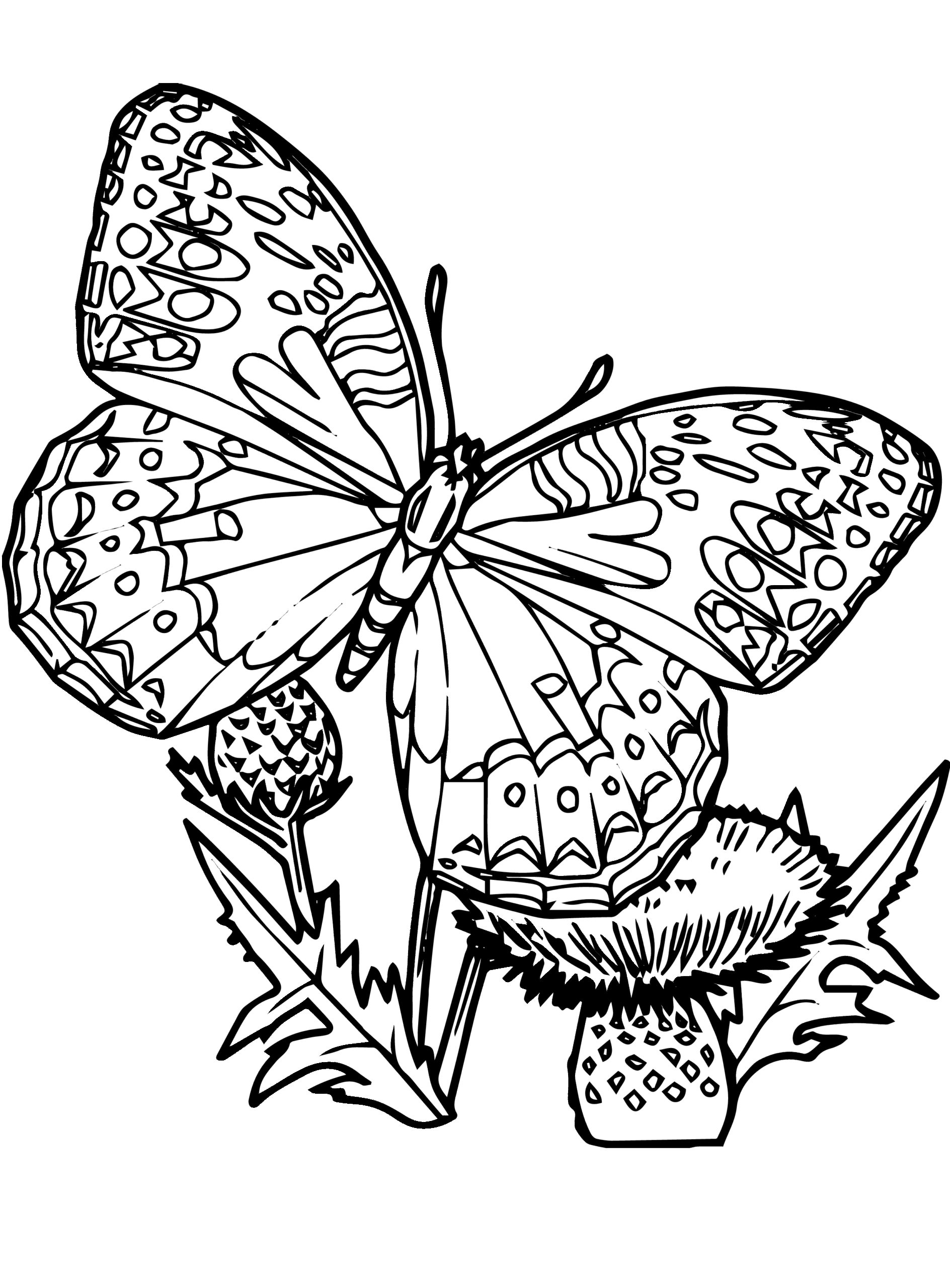 Butterfly Coloring Page Printable Free Coloring Pages The Best Porn