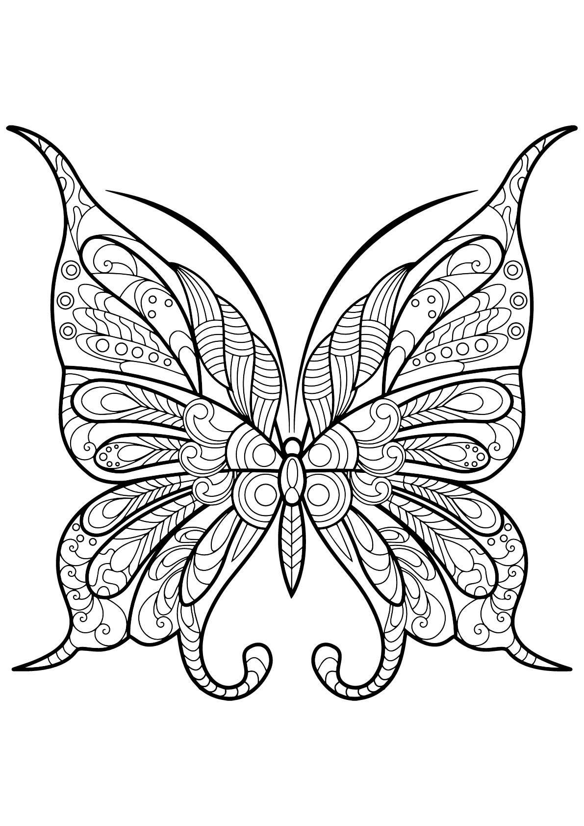Butterfly Coloring Pages Free Printable Butterfly Coloring Page Porn 