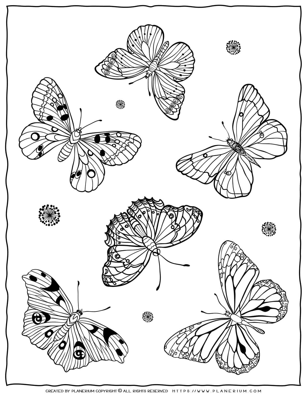 Coloring Pages Butterflies