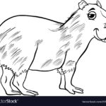 Capybara Coloring Page Liqurus