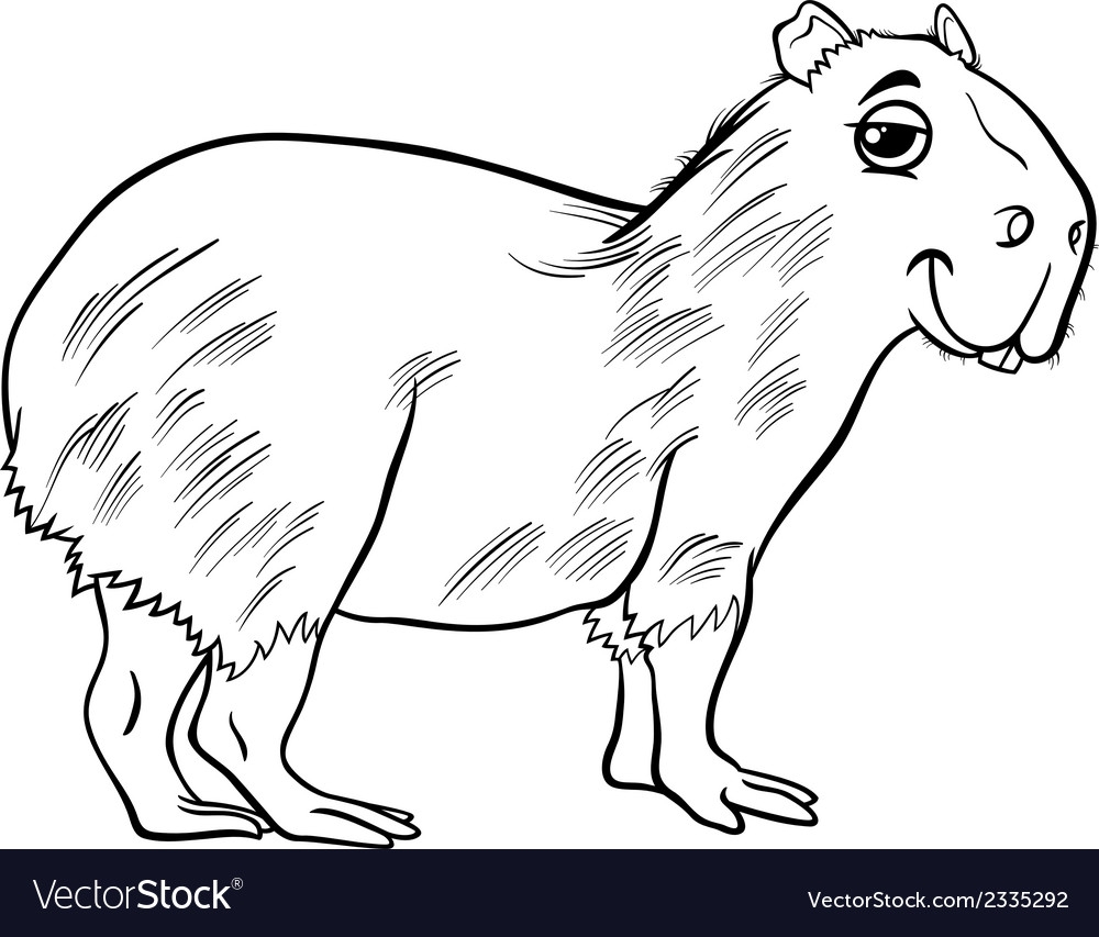 Capybara Coloring Page Liqurus