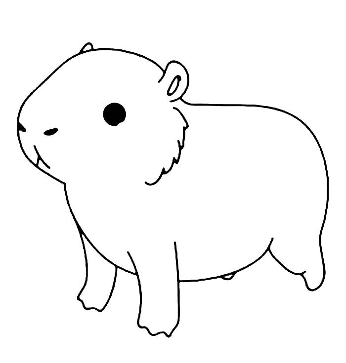 Capybara Coloring Pages Free Printable PDF 