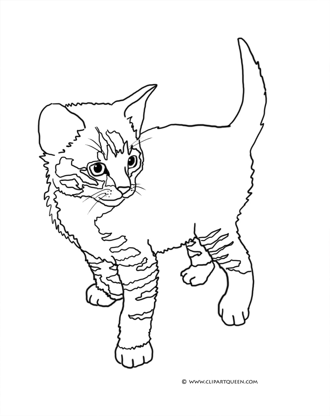 Cat Coloring Pages To Print