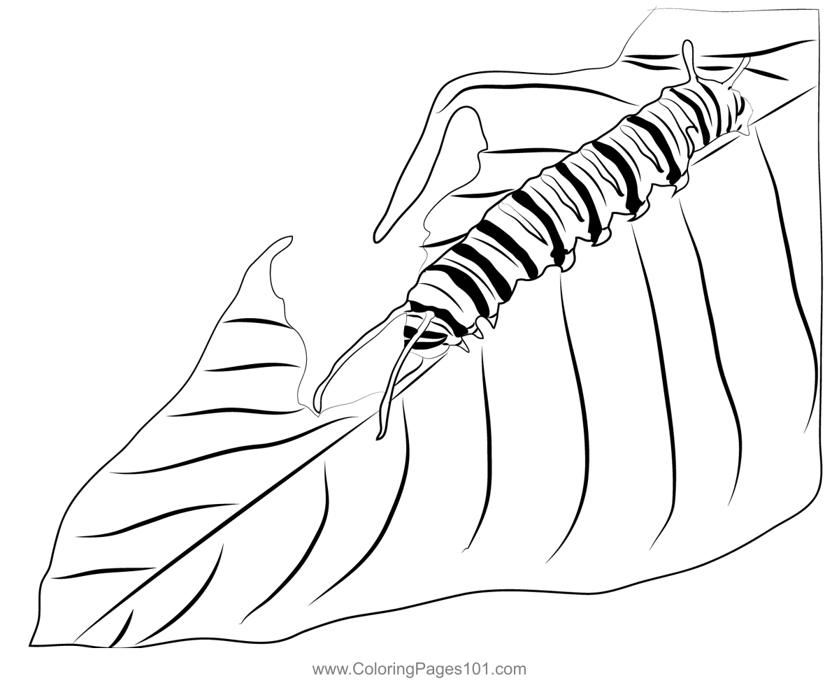 Caterpillar Coloring Page For Kids Free Caterpillars Printable 